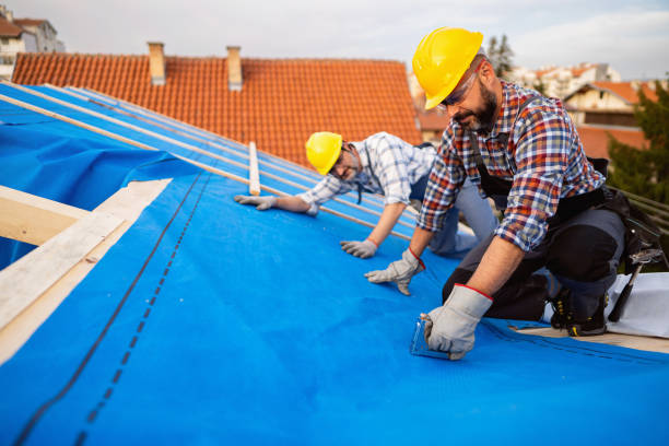 Best Roof Leak Repair  in Wellman, IA