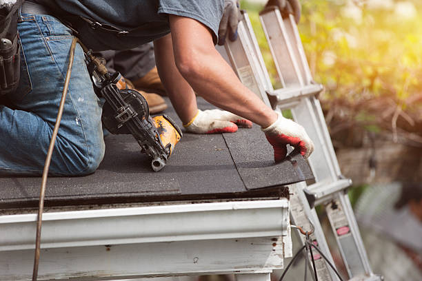 Best Metal Roofing Contractor  in Wellman, IA